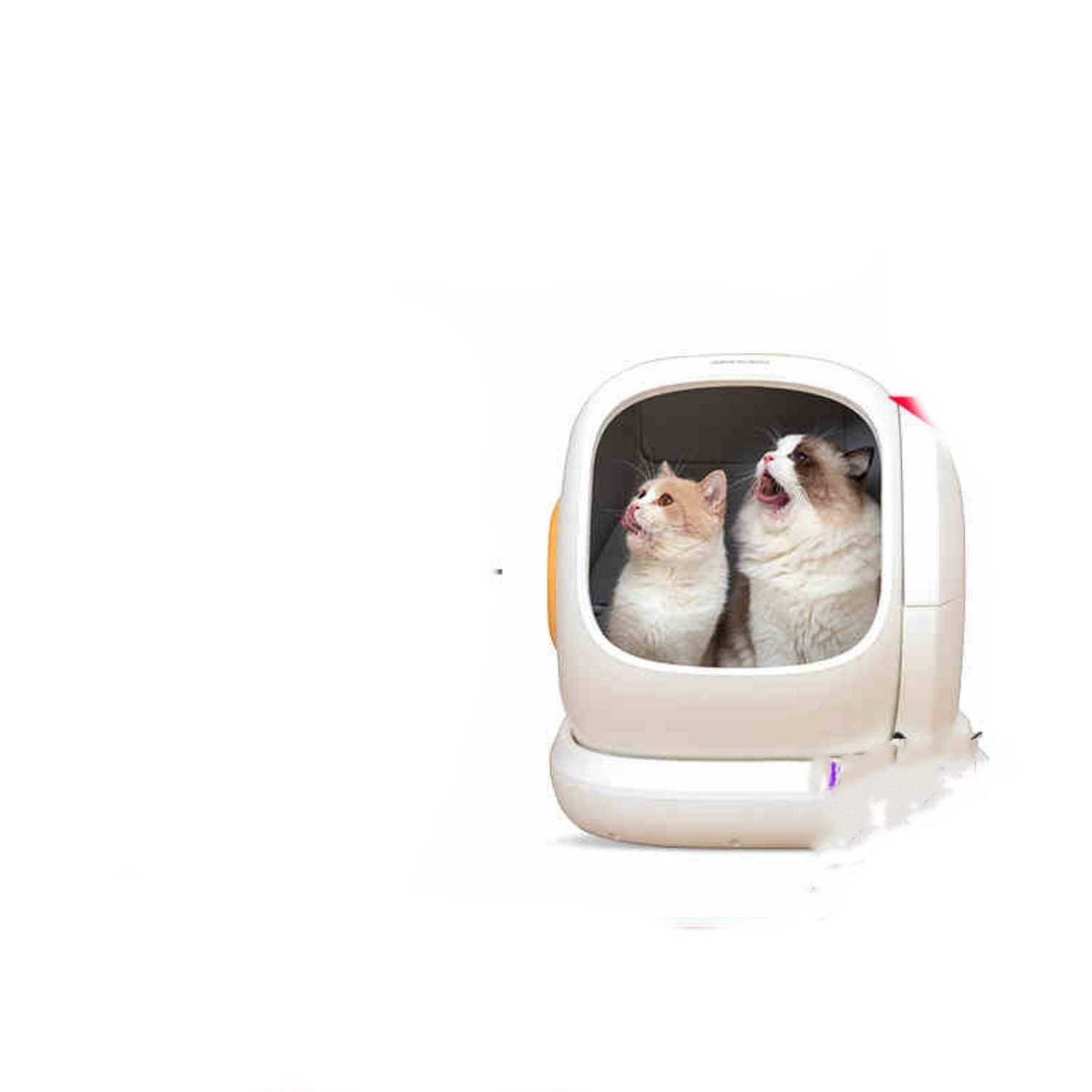 https://oss-cf.cjdropshipping.com/product/2025/05/22/06/0182d324-1684-4afe-bf20-ed5fa78689ba.jpg