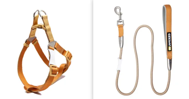 Contrast Color Hand Holding Rope Chest And Back Collar For Going Out Chest Strap Coffee Set - Shop at LoveMi