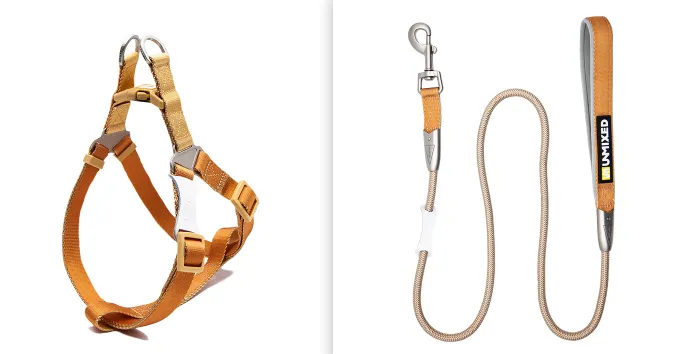 Contrast Color Hand Holding Rope Chest And Back Collar For Going Out - Chest Strap Coffee Set