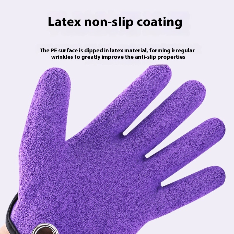 https://oss-cf.cjdropshipping.com/product/2025/05/25/05/4aff7e96-f9b8-497d-9971-508589133114_trans.jpeg
