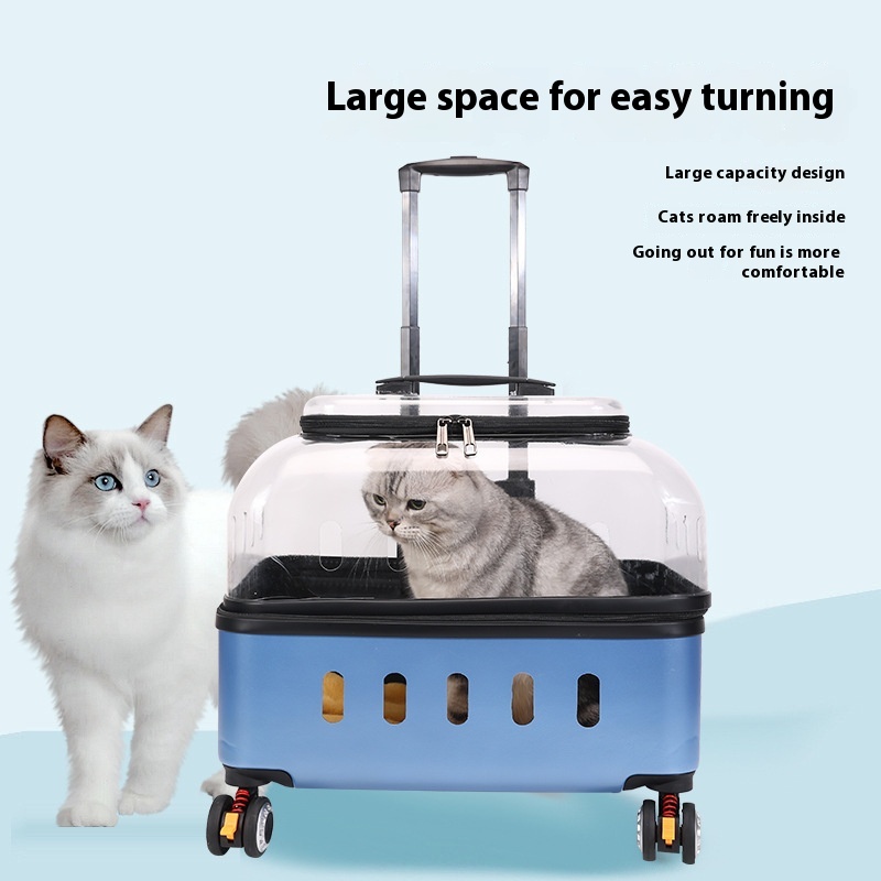 https://oss-cf.cjdropshipping.com/product/2025/05/26/07/20dfe730-ed90-4a5b-912d-e6f34a225066_trans.jpeg