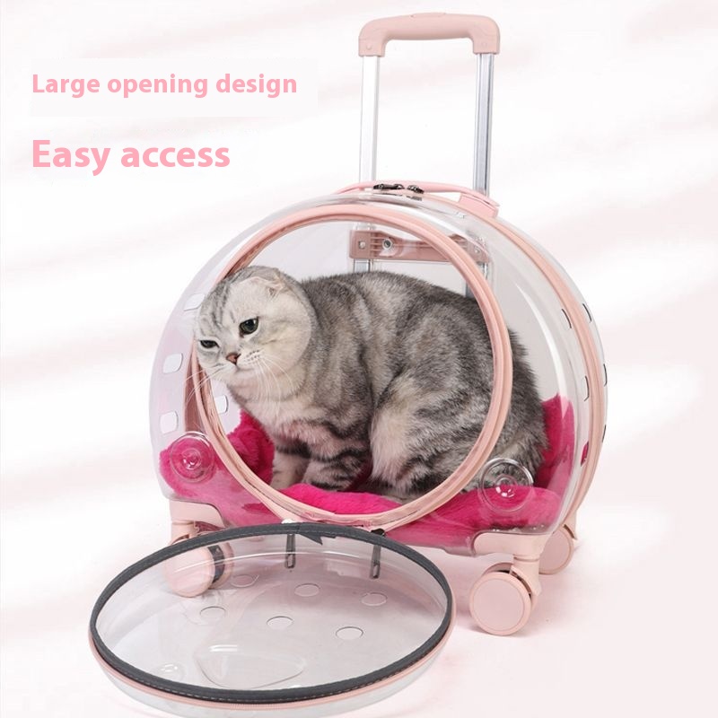 https://oss-cf.cjdropshipping.com/product/2025/05/26/07/6c4c8843-7d85-4782-baf9-1902e7b398ba_trans.jpeg