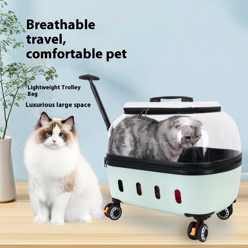 https://oss-cf.cjdropshipping.com/product/2025/05/26/07/6f4241ed-2a65-4b36-8186-ae0c24e0273e_trans.jpeg