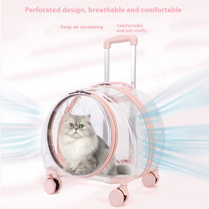 https://oss-cf.cjdropshipping.com/product/2025/05/26/07/9fc9da69-86d7-47f6-a840-187b6160289c_trans.jpeg