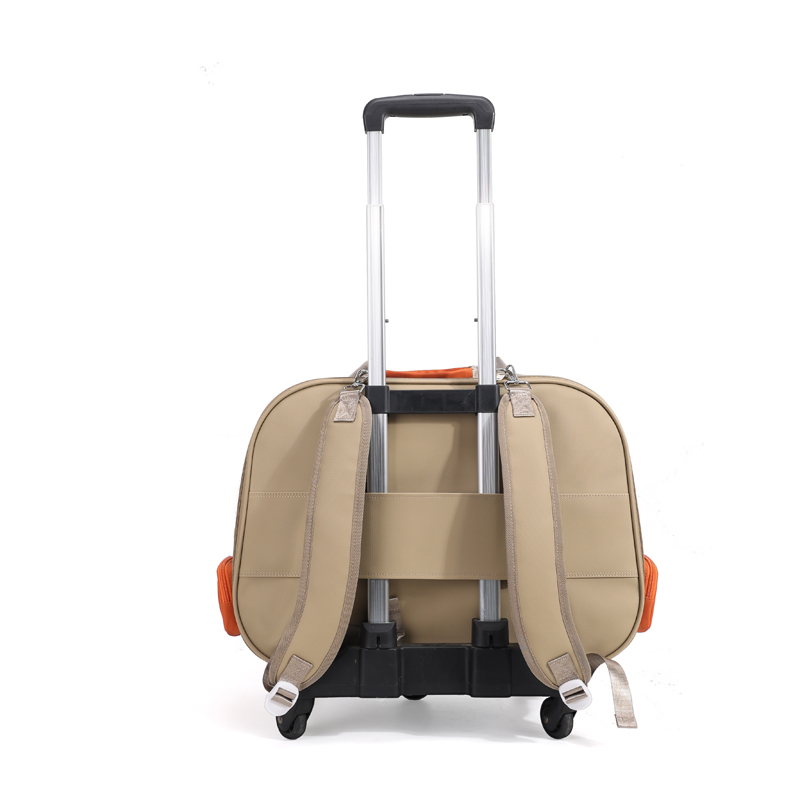https://oss-cf.cjdropshipping.com/product/2025/05/27/08/06163489-ad19-4156-855c-f283ac99158f.jpg