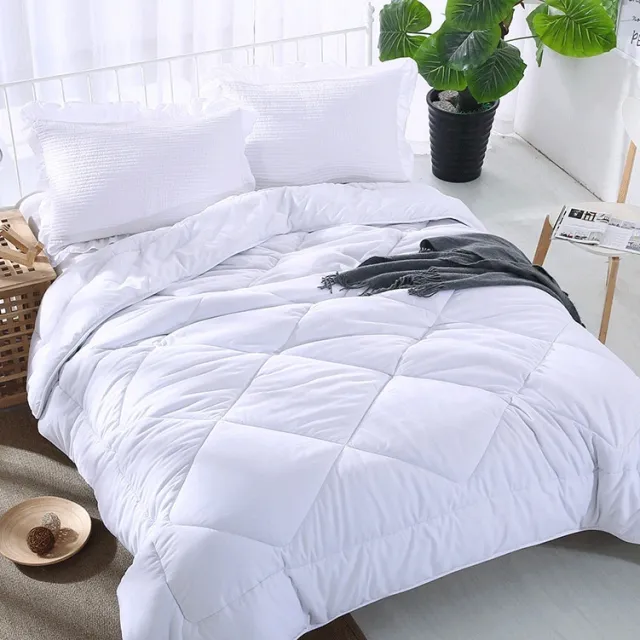 Winter Quilt Inner Thin Cotton Quilt Spring And Autumn Light Summer Four Seasons Winter Duvet Insert - Shop at LoveMi