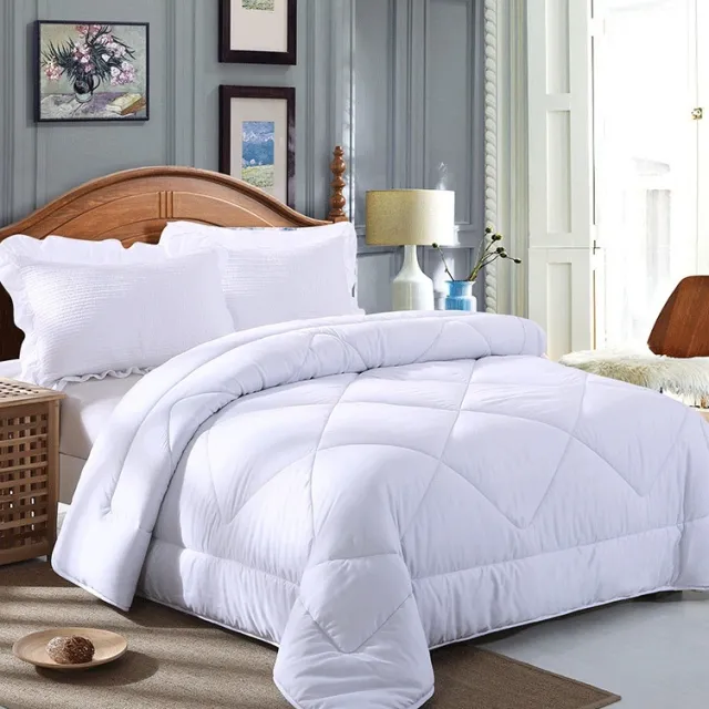 Winter Quilt Inner Thin Cotton Quilt Spring And Autumn Light Summer Four Seasons Springautumn Duvet Insert - Shop at LoveMi