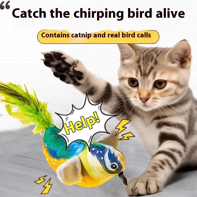 Cat Toy Simulation Will Call Bird To Swing Hanging Door Hanging Cat Teaser