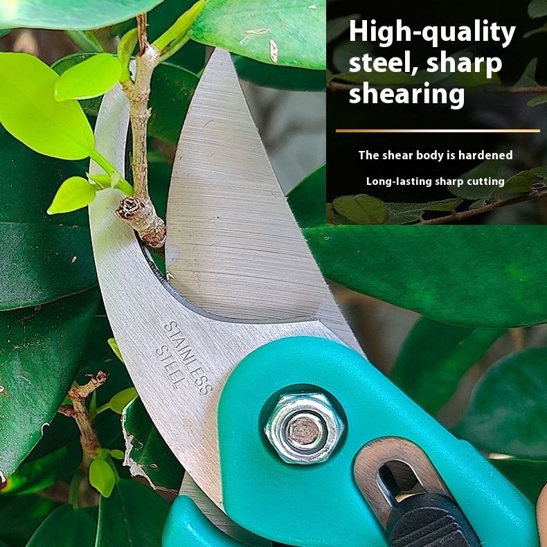 Pruning Shear Branch Special Scissors Garden