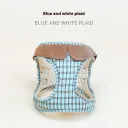 Blue And White Plaid