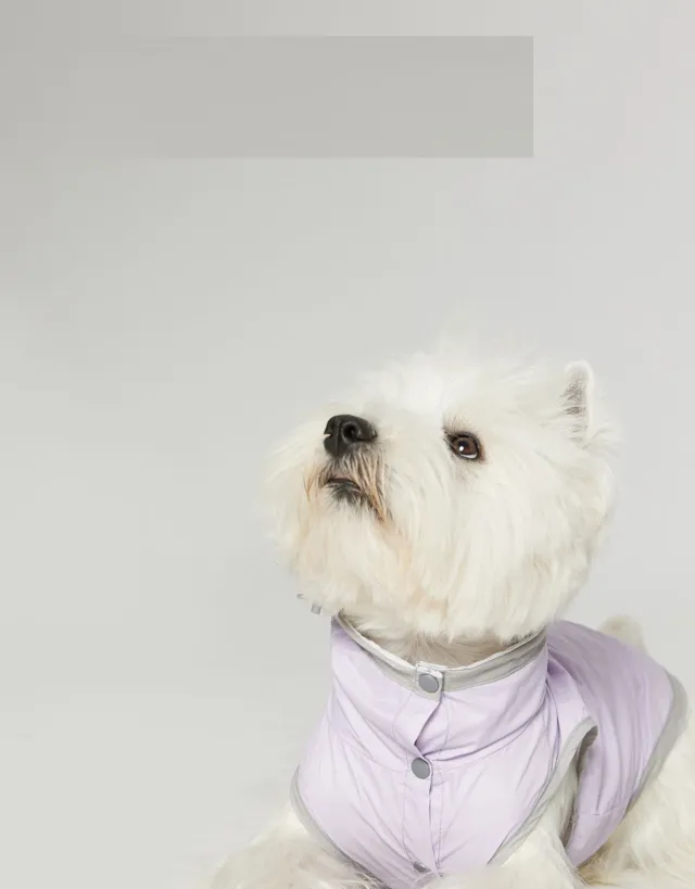 Dog Ultra thin Vest Raincoat Water And Dirt Resistant Wind Shield Purple - Shop at LoveMi