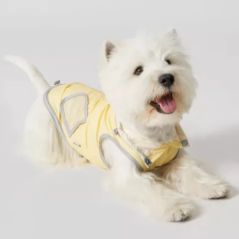 Dog Ultra-thin Vest Raincoat Water and Dirt Resistant Wind