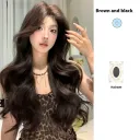 Brown And Black Hair Net