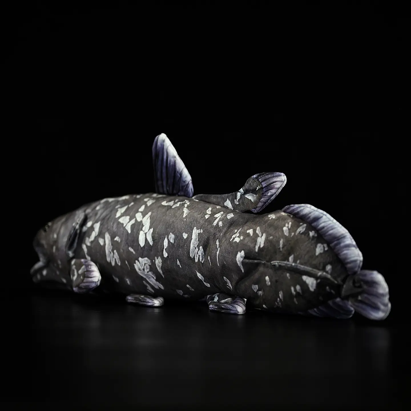 A Cute Plush Toy Made Of Printed Coelacanth Stuffed Fish