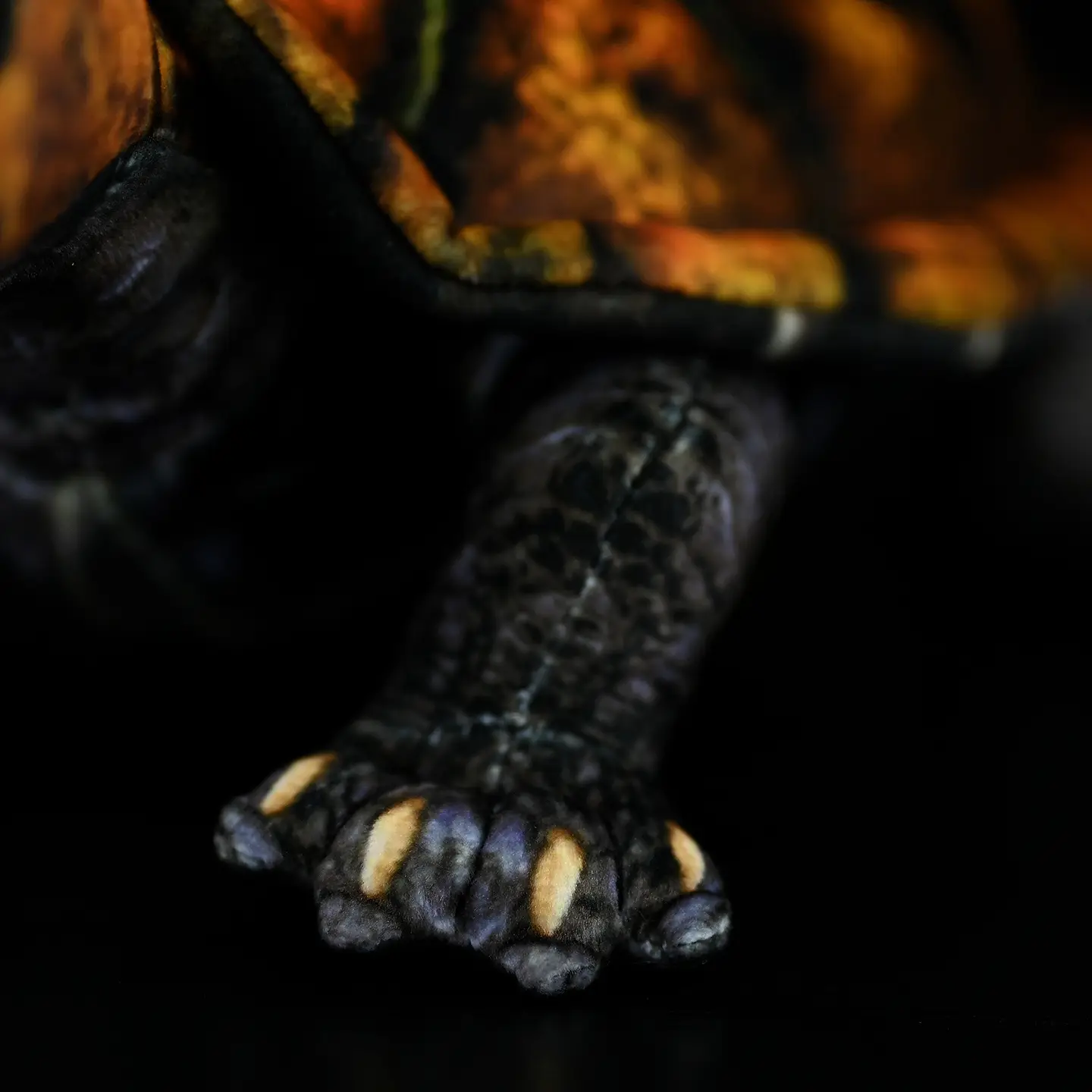 Cute And Realistic Japanese Stone Turtle Plush Toy