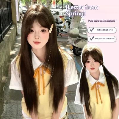 Full Repair Inner Angle High Level Long Straight Hair Full-head Wig