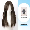 Middle Cold Brown Hair Net