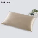 Dark Camel