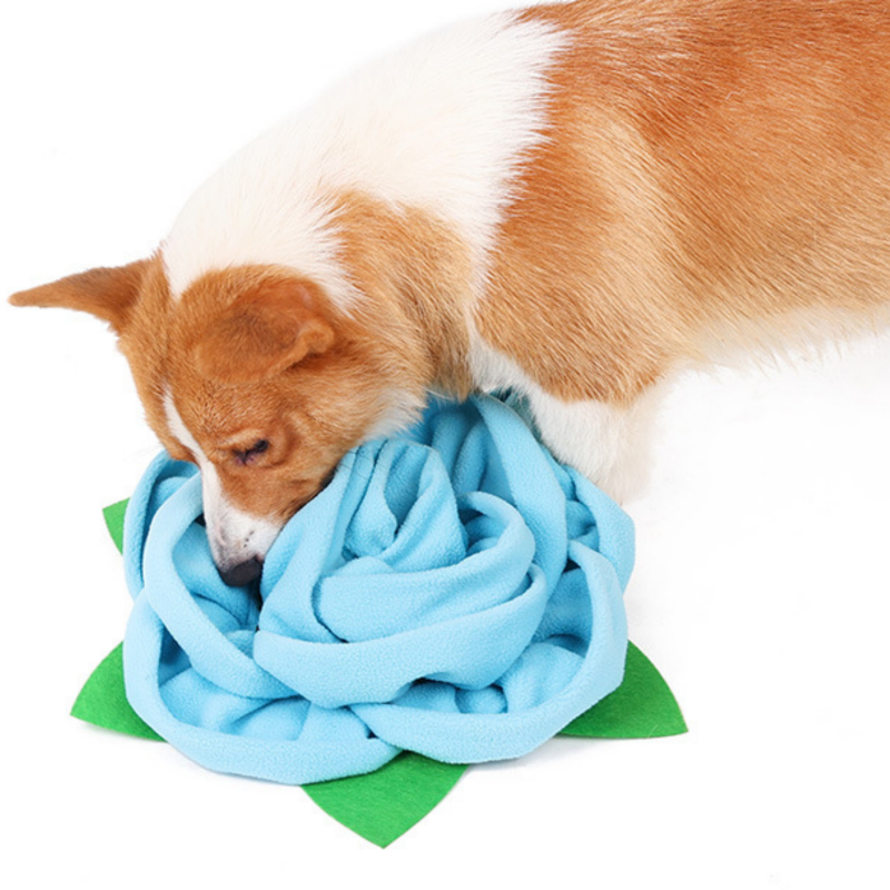 Pet Rose Smelling Pad To Hide Food Training