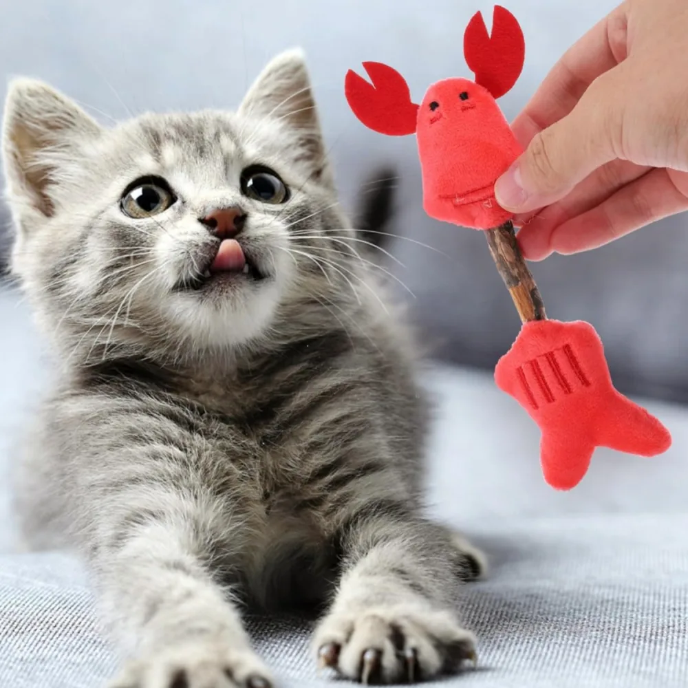 Cat Toy Kitten Toys Teeth Cleaning Silvervine Sticks Cat