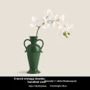 Emerald Phalaenopsis