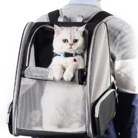 Innovative Traveler Bubble Backpack Pet Carriers for Cats