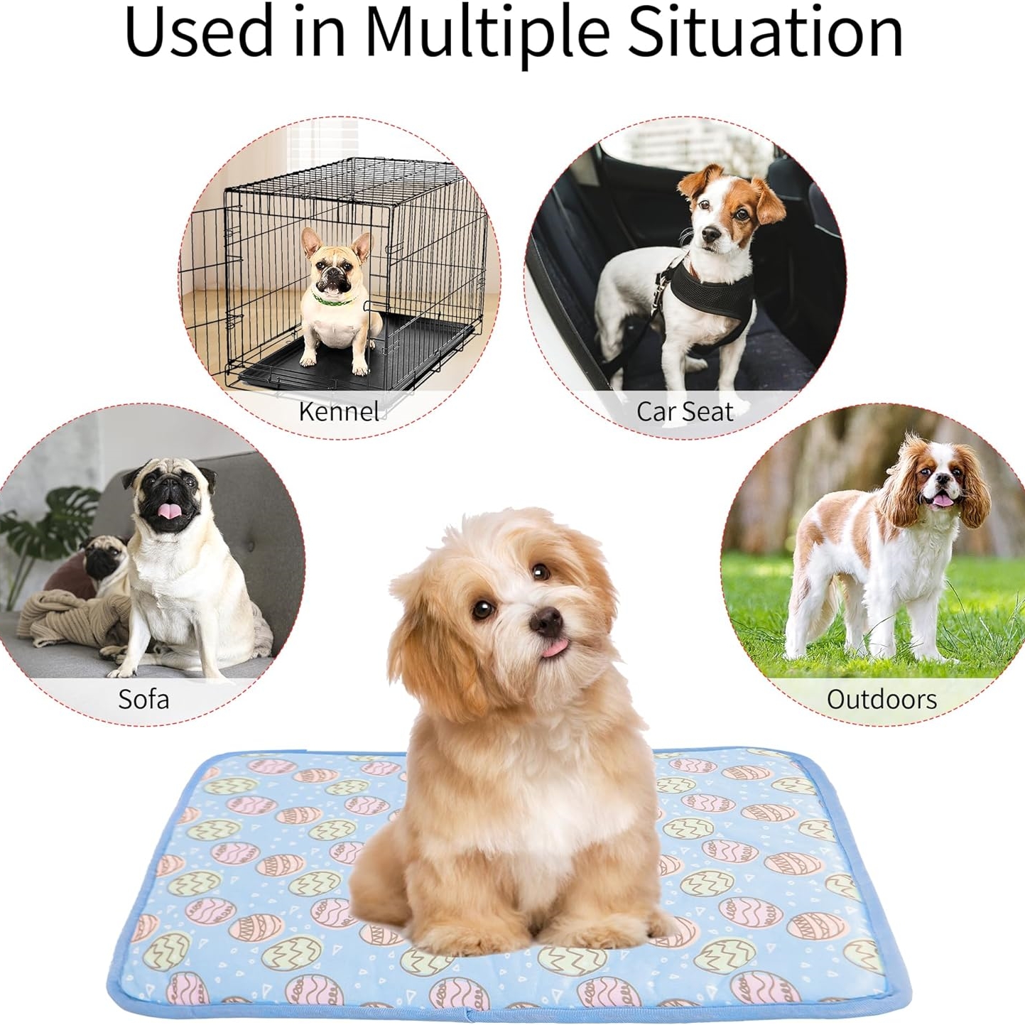 Keep Your Pet Cool All Summer With  Cooling Mat For Cats And Dogs