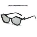 Black Frame Silver