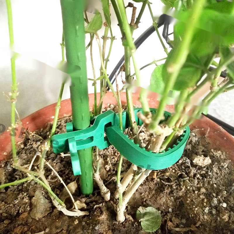 Strapping Tape Gardening Plastic Fastening Buckle