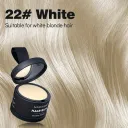 Style 22
