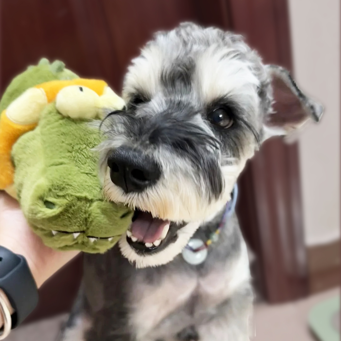 Dog Electric Sound Plush Toy For Small And Medium-sized Dogs