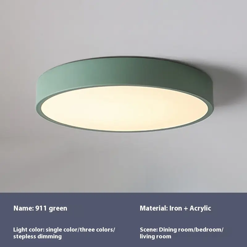 Simple Full Spectrum Round Living Room Led Ceiling Lamp