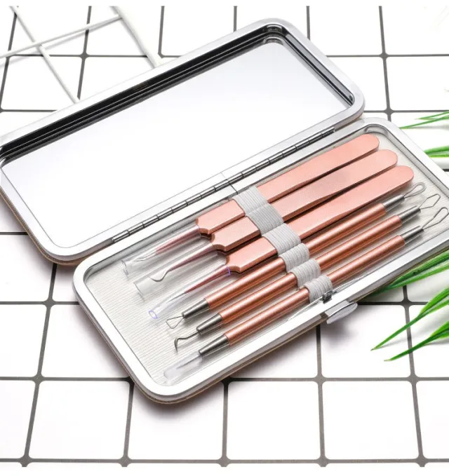Stainless Steel Dual purpose Acne Remover Acne Pimple Pin Beauty Tools Rose Gold - Shop at LoveMi