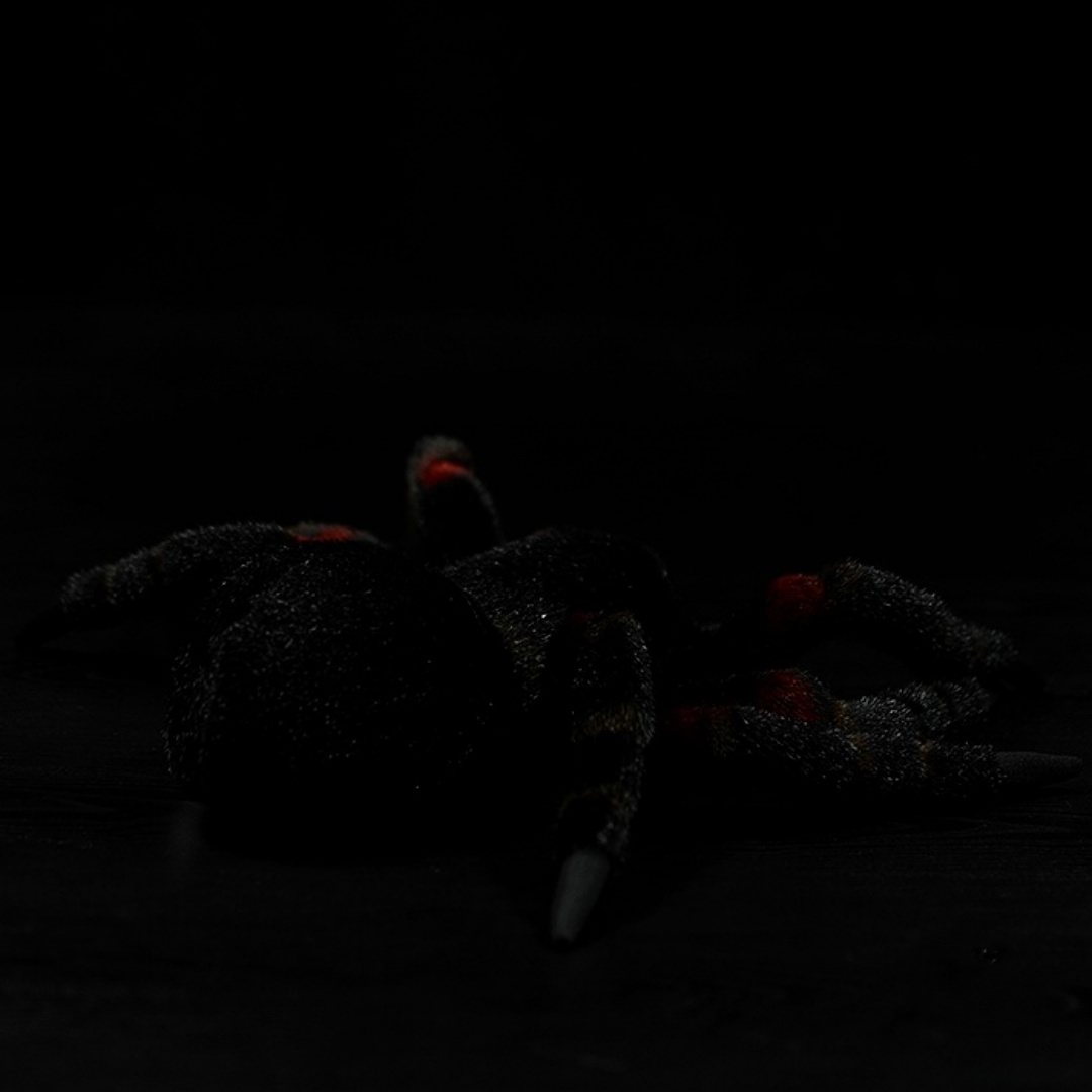 Creative Spider Doll Simulation Animal Doll