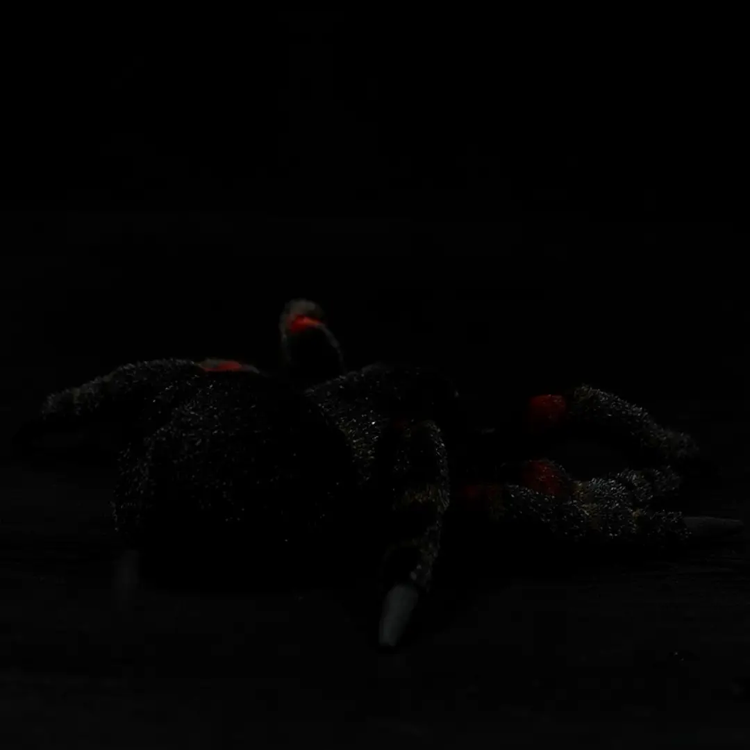 Creative Spider Doll Simulation Animal Doll