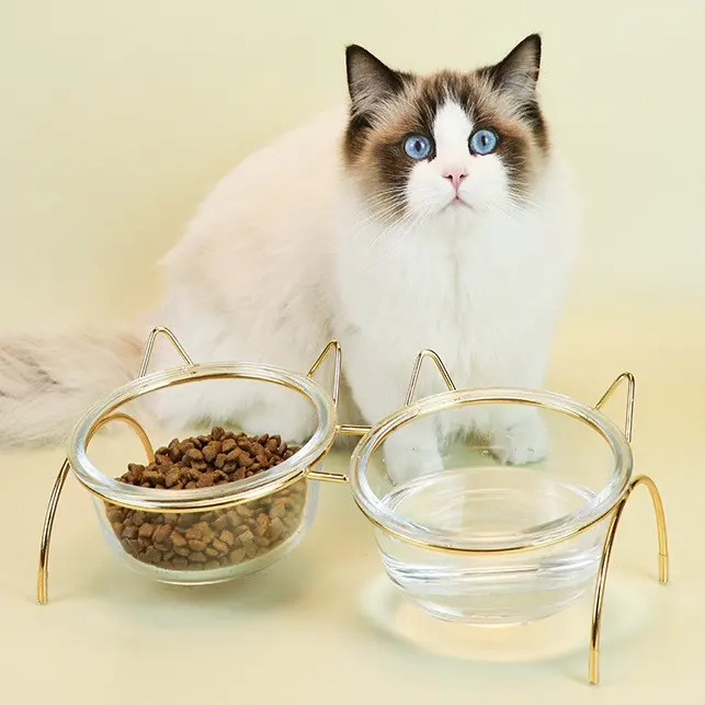 Glass Cat Bowl Drinking Dish Feeder