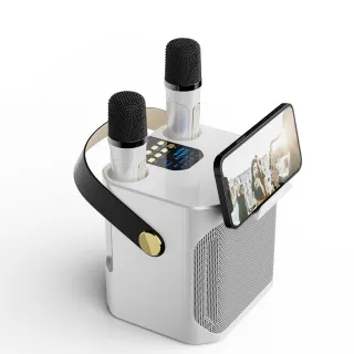 Bluetooth Speaker Outdoor Karaoke Large Volume Home Dual Microphone With Microphone Karaoke All-in-one Machine