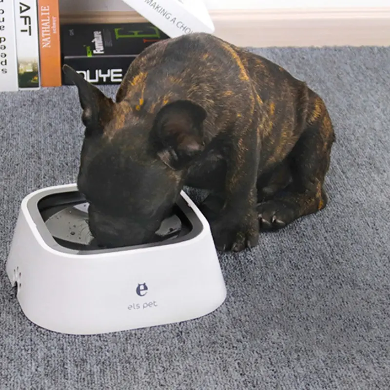 Non-wet Mouth Dog Bowl