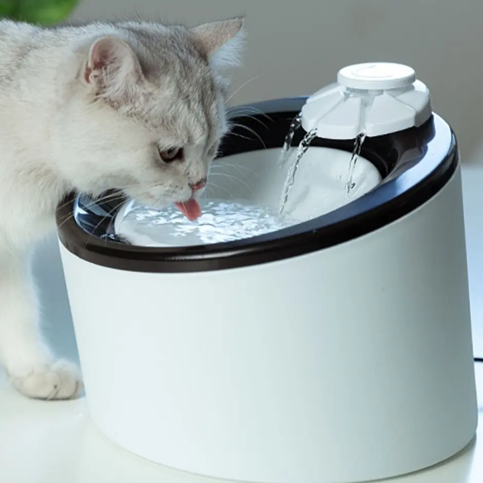 Automatic Drinking Machine For Cats And Dogs