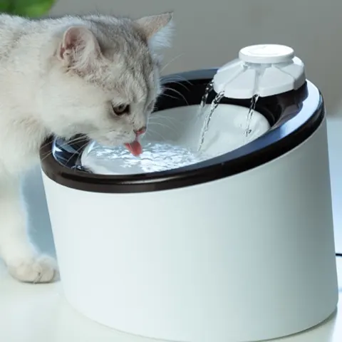 Automatic Drinking Machine for Cats and Dogs