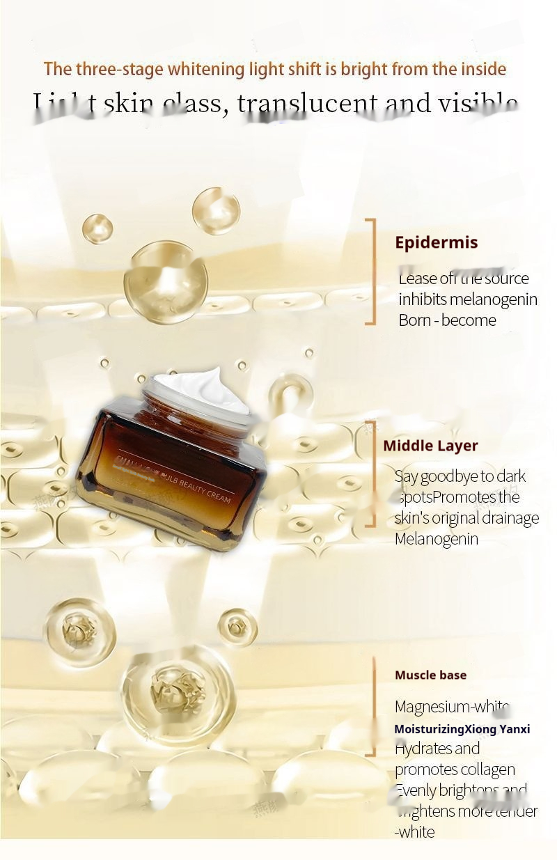 https://oss-cf.cjdropshipping.com/product/2025/06/21/11/1474842a-3e39-466b-a9e6-f4fc5337bdd3.jpeg