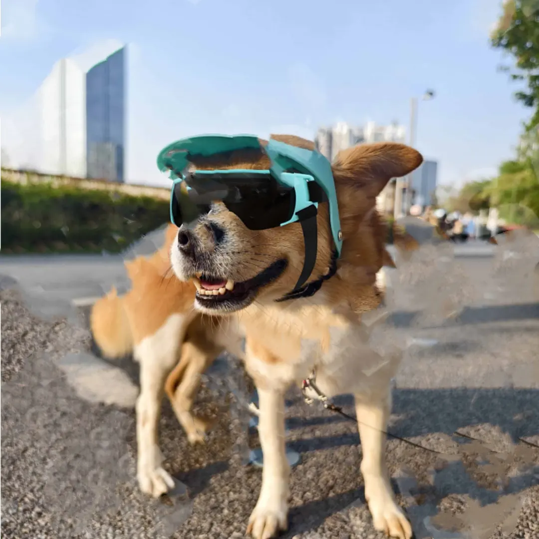 Creative And Versatile Outdoor Sunscreen Pet
