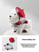Charming Bailey Suit