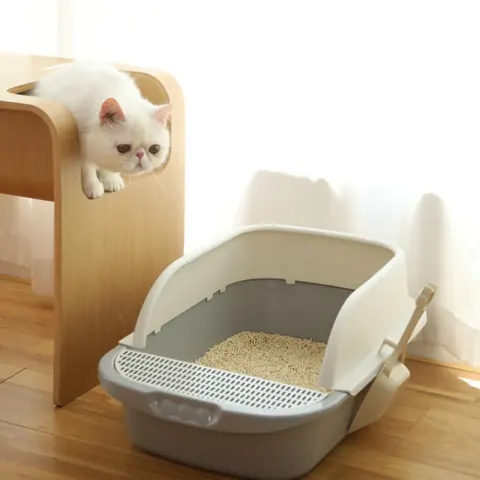 Baby Cat Deodorant Excrement Basin Sand