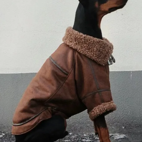Winter Plus Velvet Pet Lapel Leather Coat for Big
