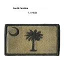 South Carolinamud Color