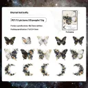 Day And Night Butterfly