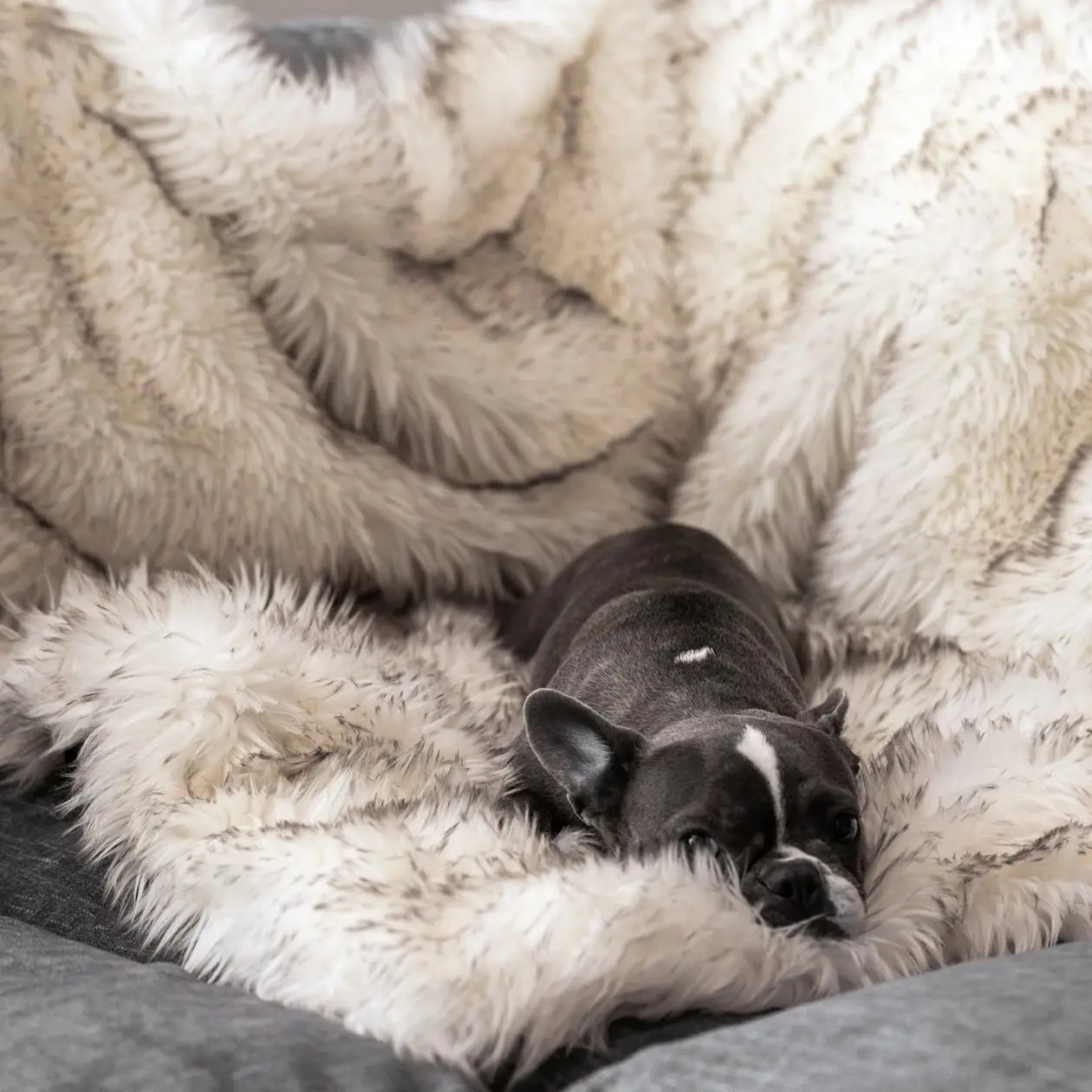 Fox Fur Waterproof Plush Dog House Plush Blanket Pet Nest