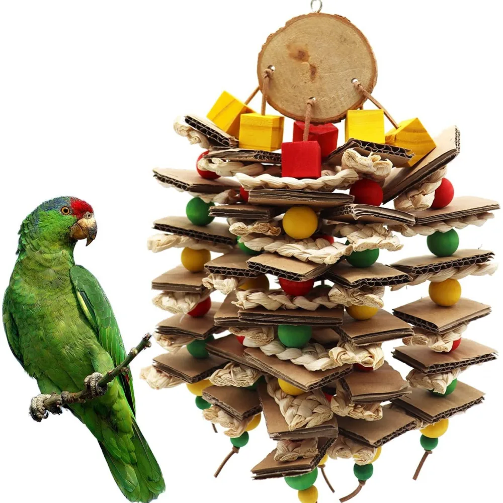 Parrot Logs Gnawing on Corn Husks and Skewers