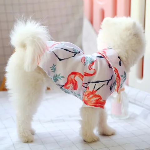 Small Dog Than the Bear Pomei Thin Summer Cute